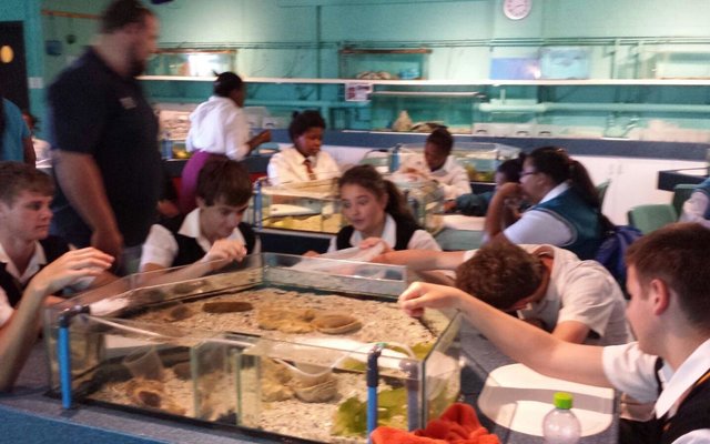 Gansbaai Kanadese studente besoek Gansbaai Academia 1_1